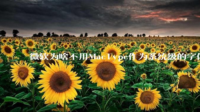 微软为啥不用MacType作为系统级的字体渲染呢？